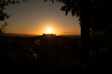 Villa Humbourg Tramonto